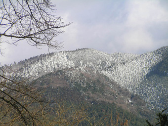 冬の山1